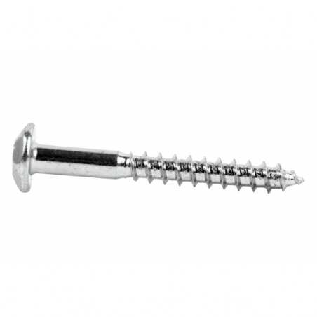 TORNILLO INVIOLABLE TORX30 M-7X80